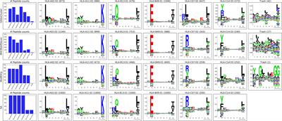 Accurate MHC Motif Deconvolution of Immunopeptidomics Data Reveals a Significant Contribution of DRB3, 4 and 5 to the Total DR Immunopeptidome